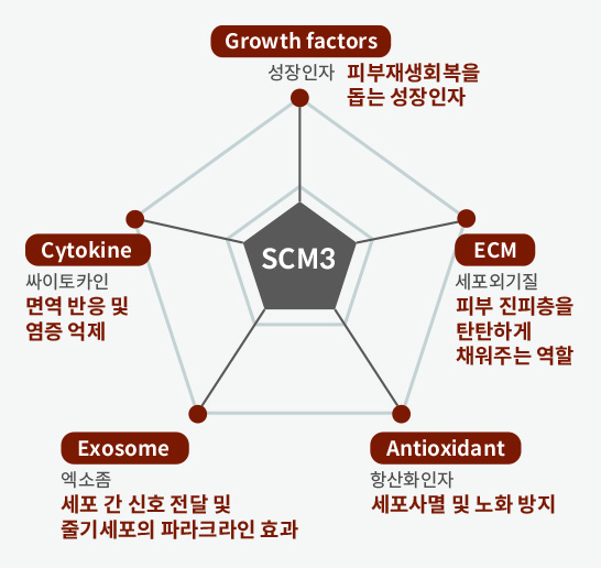 현재 테라스템 공식몰에 사용된 SCM3 기술 이미지
