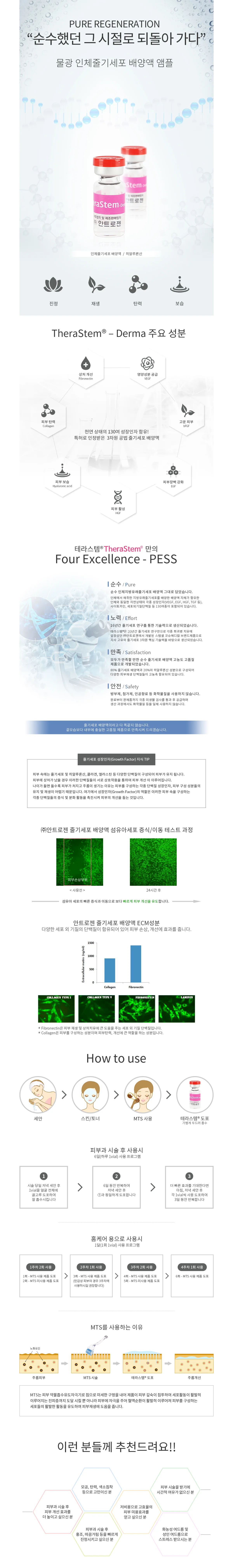 테라스템® 더마 상세정보 2