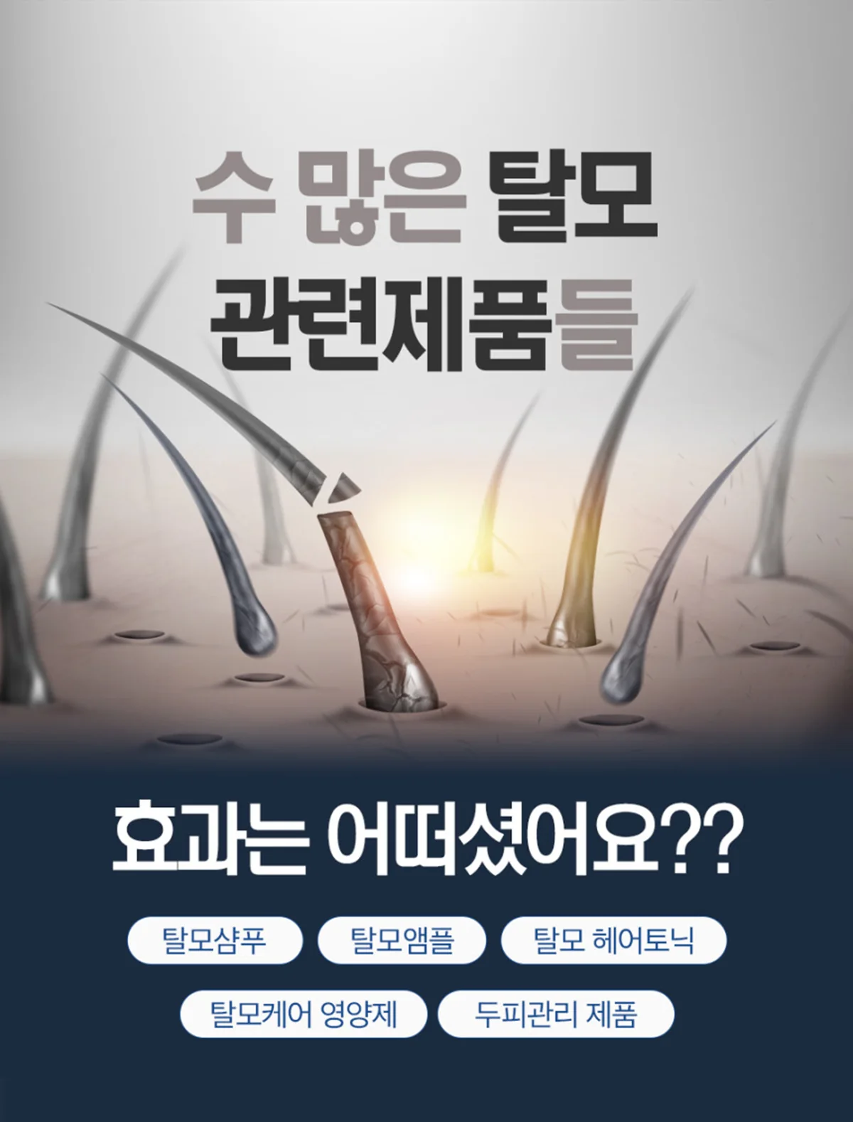 모튼튼-S 상세정보 2