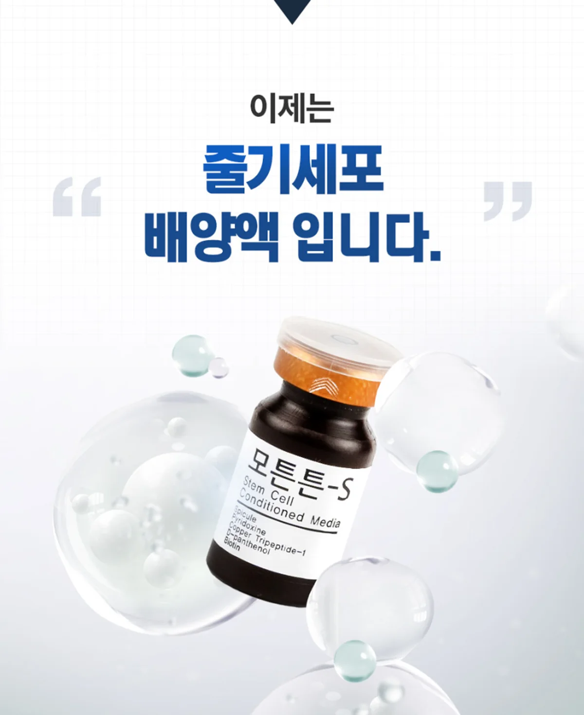 모튼튼-S 상세정보 3