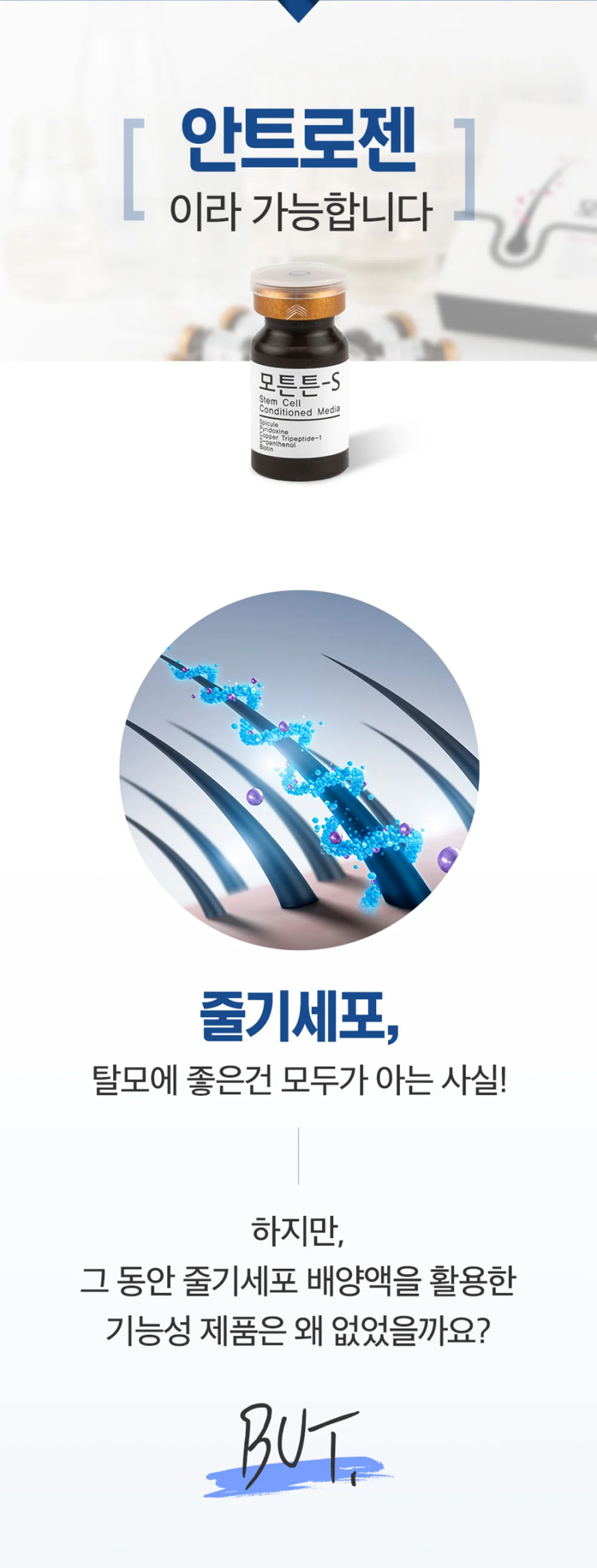 모튼튼-S 상세정보 11
