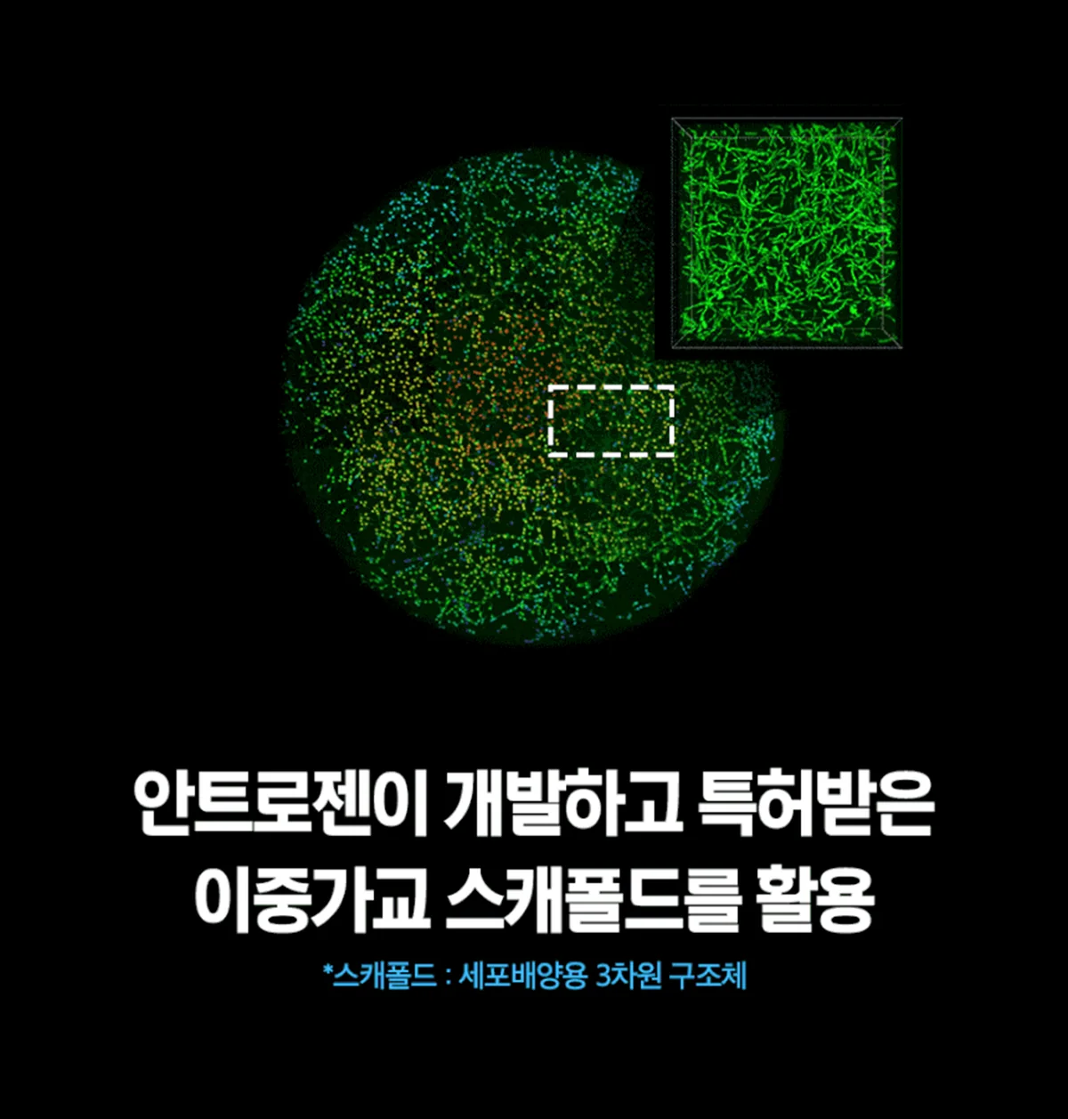 모튼튼-S 상세정보 13