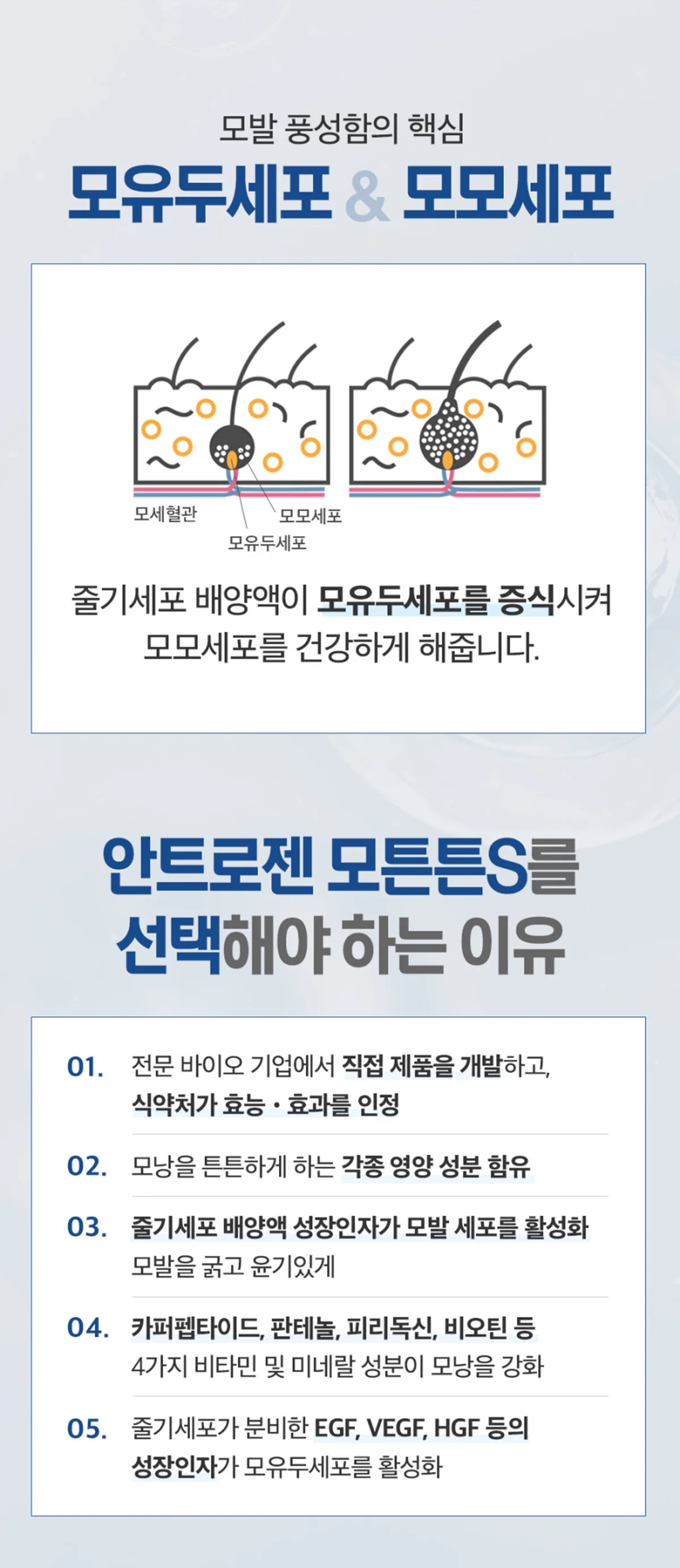 모튼튼-S 상세정보 14