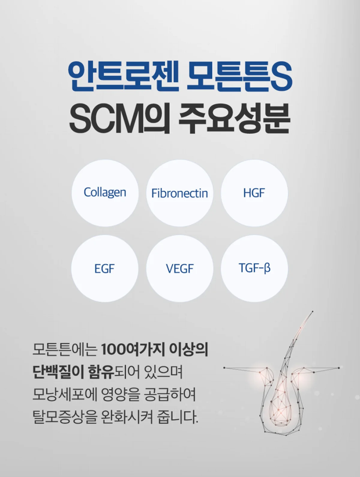 모튼튼-S 상세정보 21