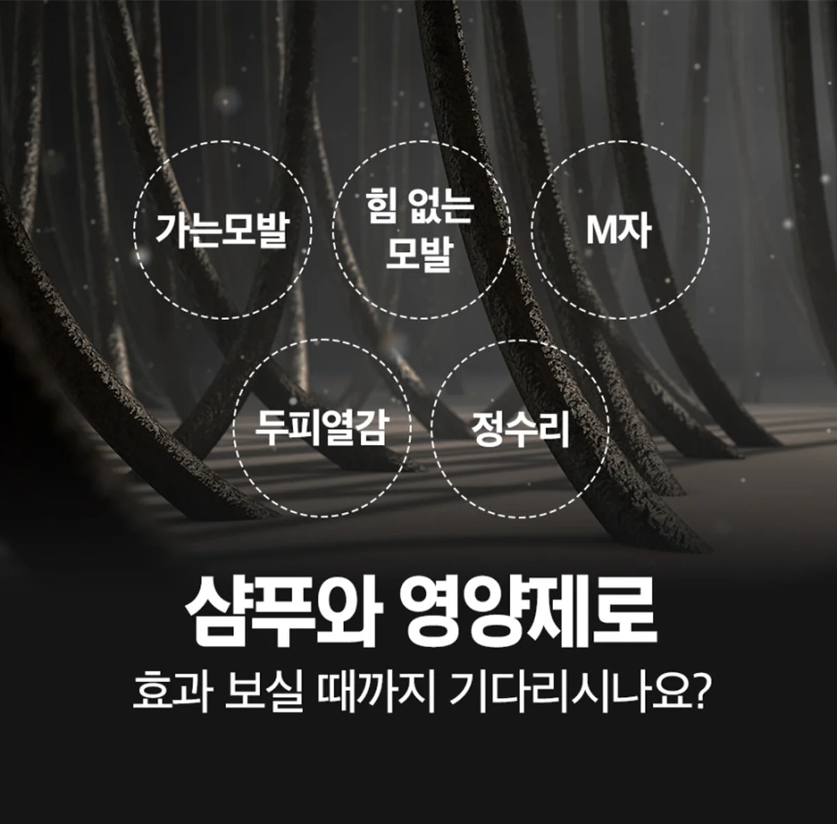 모튼튼-S 상세정보 23